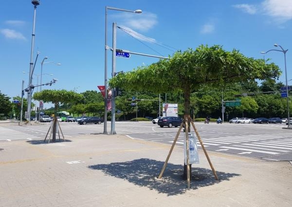 마포구, 서울시 최초 5백만그루 나무 심어 ‘공기청정숲’ 조성
