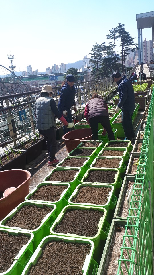 지난해 지역공동체 일자리사업 중 ‘도시농업활성화 사업’에 참여한 주민들이 구청 하늘텃밭에 마련된 상자에 흙과 비료를 채우고 있다.